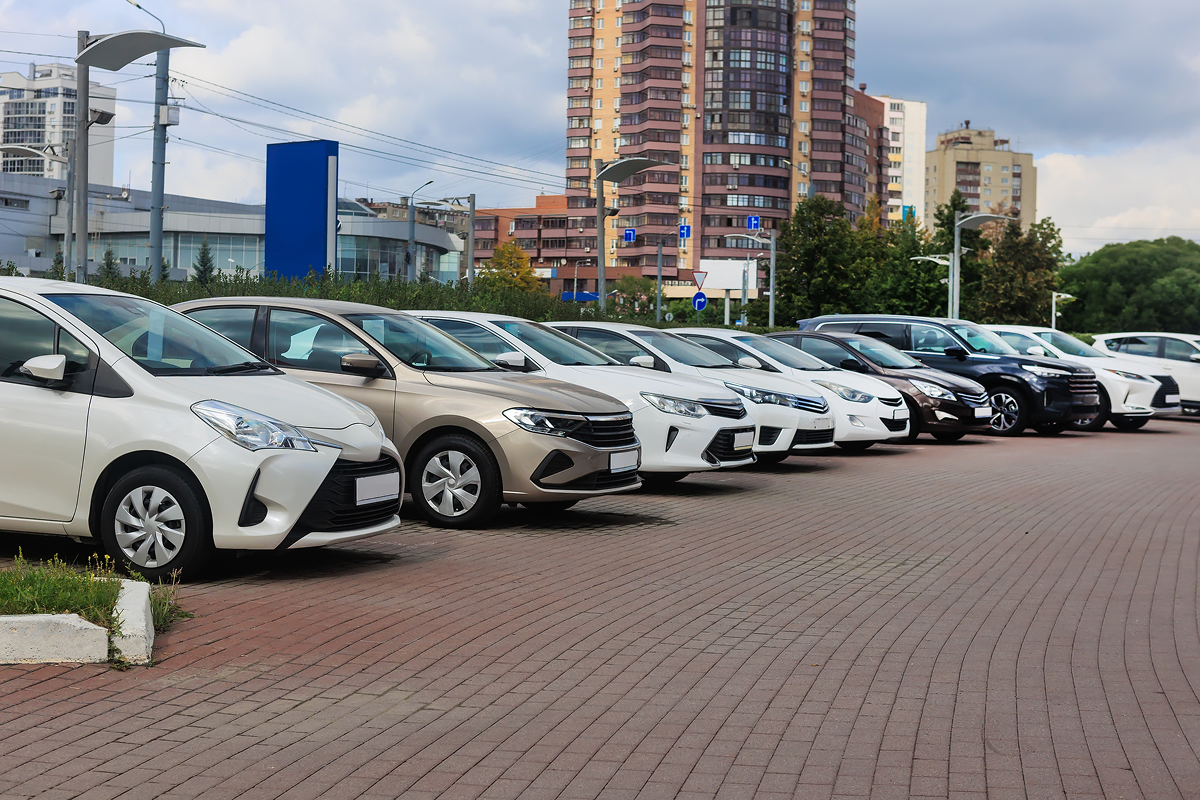 A row of parked cars on a paved area with a cityscape in the background, featuring various car models and colors.